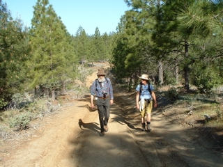 walking with john olmsted