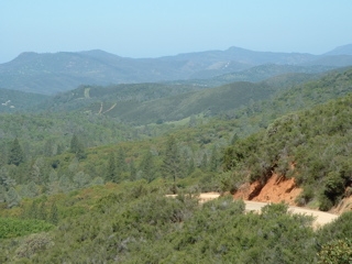 walking the trail