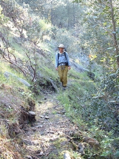 walking through forest