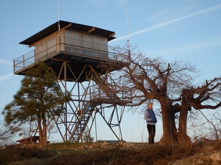 tree house